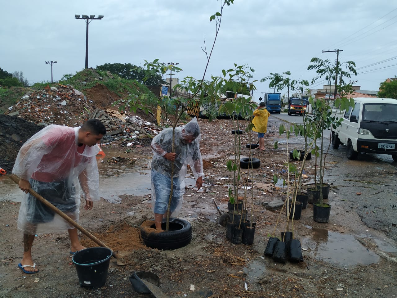 Moradores plantaram árvores no local