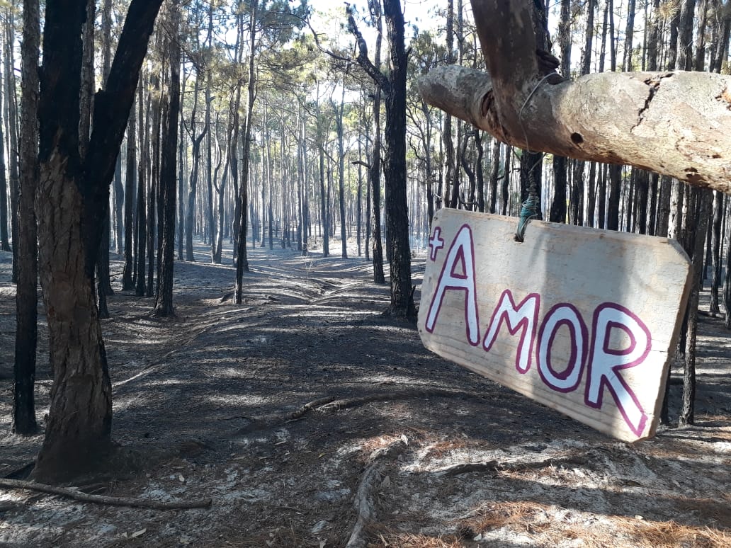 Foto: Portal Norte da Ilha