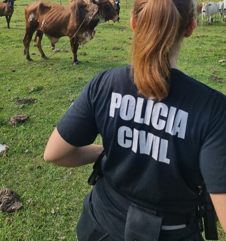 Foto: Polícia Civil 